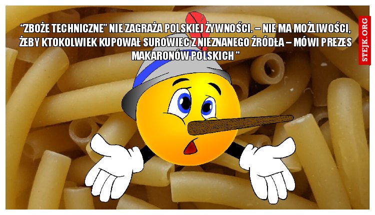 “Zboże techniczne” nie zagraża polskiej żywności. – Nie ma możliwości, żeby ktokolwiek kupował surowiec z nieznanego źródła – mówi prezes Makaronów Polskich "