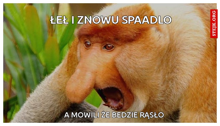 łeł i znowu spaadlo