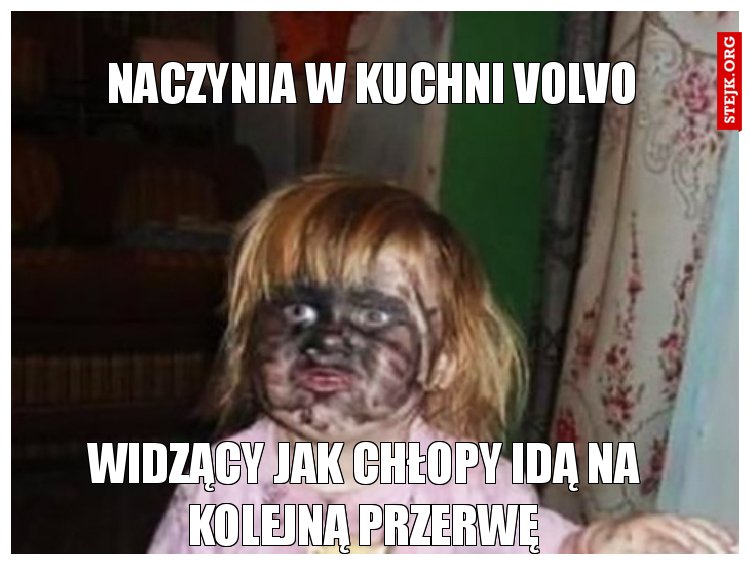 Naczynia w kuchni Volvo 