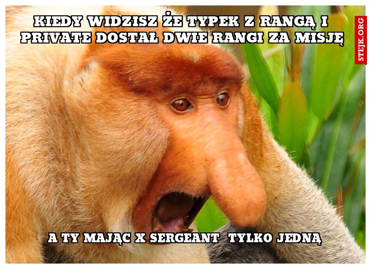 Kiedy widzisz że typek z rangą I Private dostał dwie rangi za misję