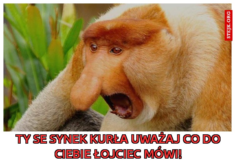 ty se synek kurła uwazaj!