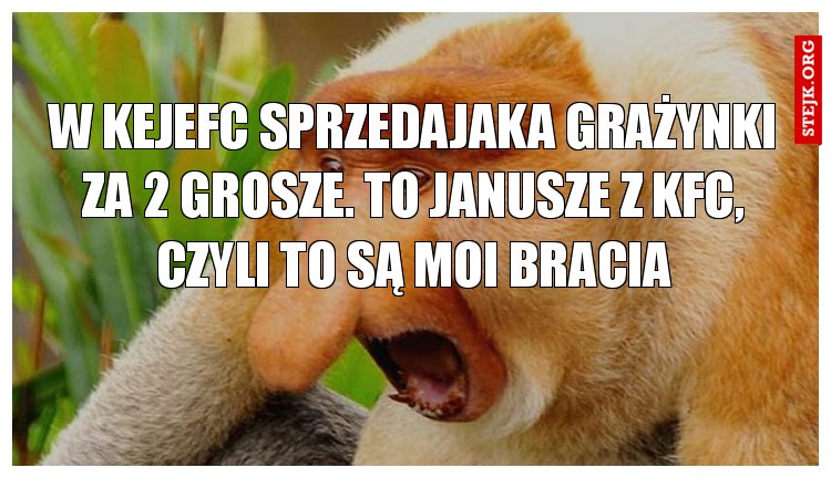 w kejefc sprzedajaka grażynki za 2 grosze. to janusze z kfc, czyli to są moi bracia
