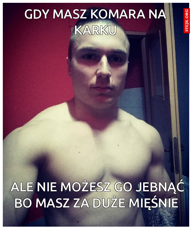 Gdy masz komara na karku