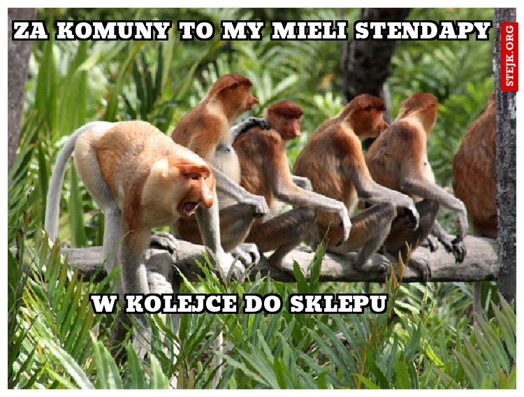 za komuny to my mieli stendapy