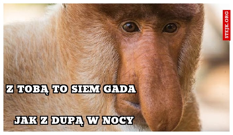 Z tobą to siem gada 