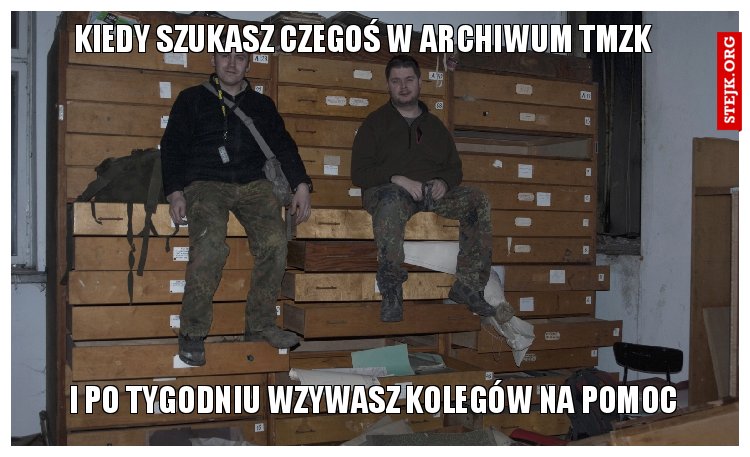 kiedy szukasz czegoś w archiwum tmzk