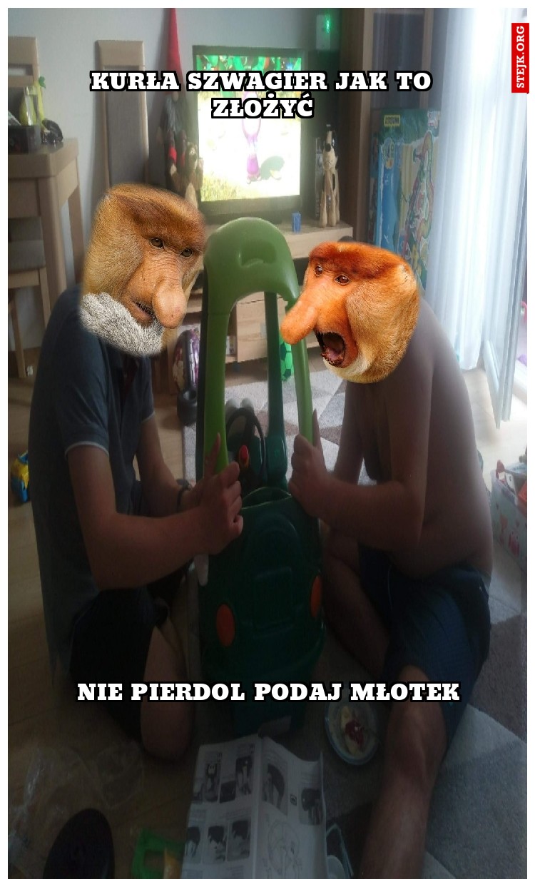 Kurła szwagier jak to złożyć