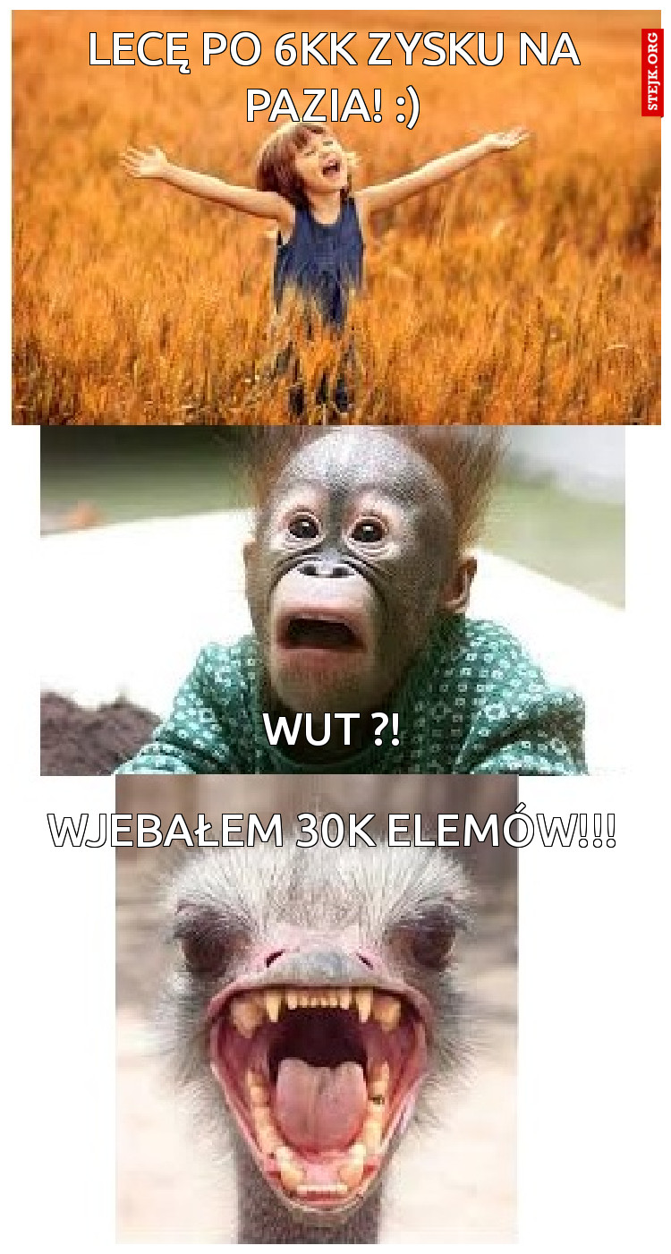 lecę po 6kk zysku na pazia! :)