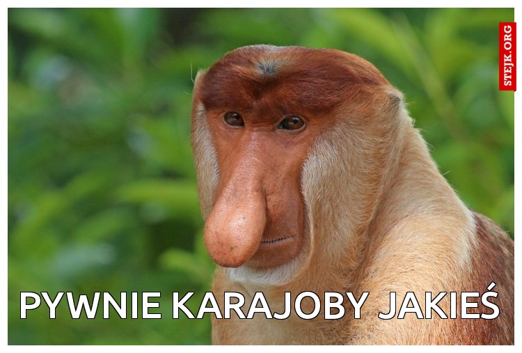 Pywnie Karajoby jakieś