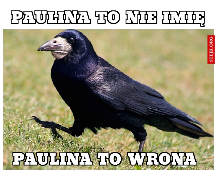 PAULINA TO NIE IMIĘ