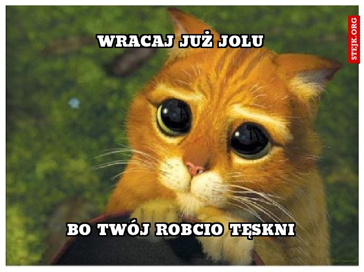 WRACAJ JUŻ JOLU