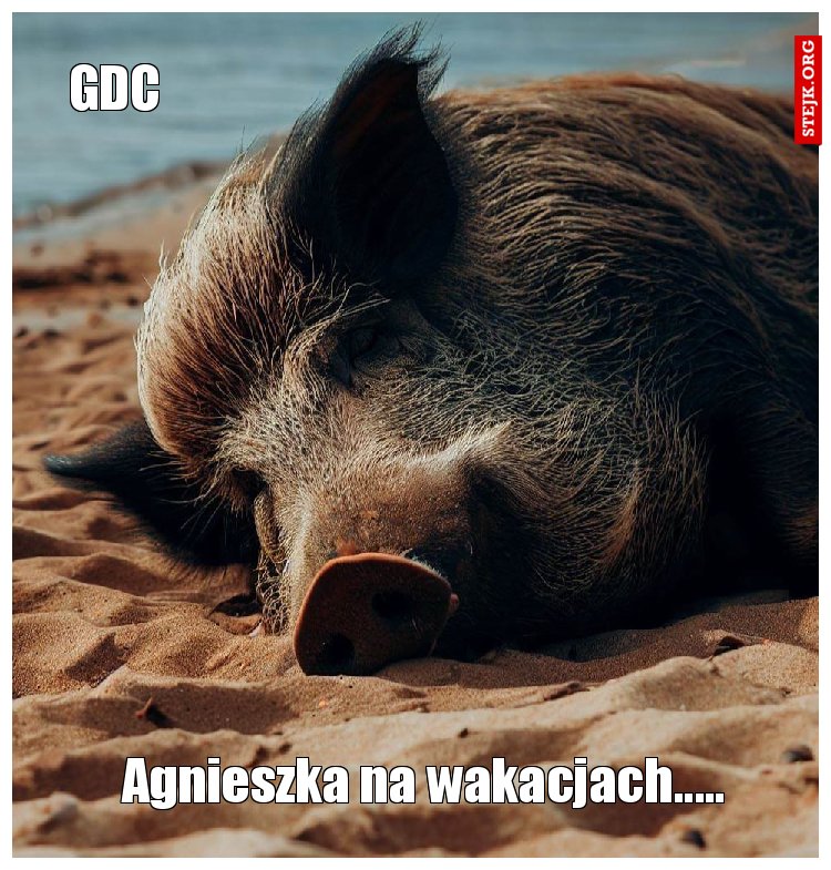 Agnieszka na wakacjach.....