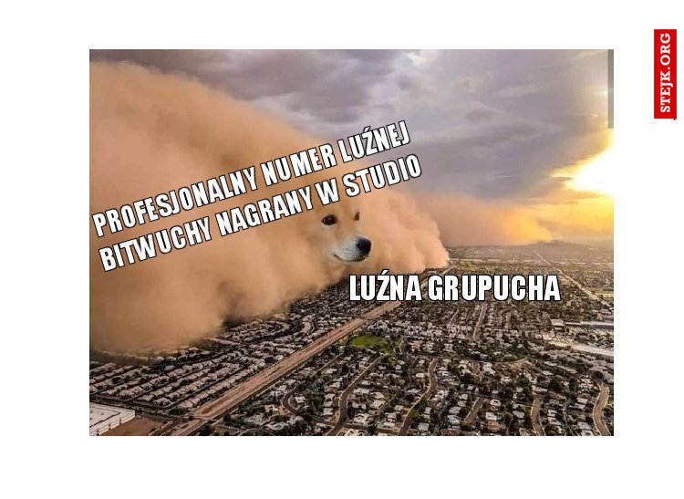 PROFESJONALNY NUMER LUŹNEJ BITWUCHY NAGRANY W STUDIO