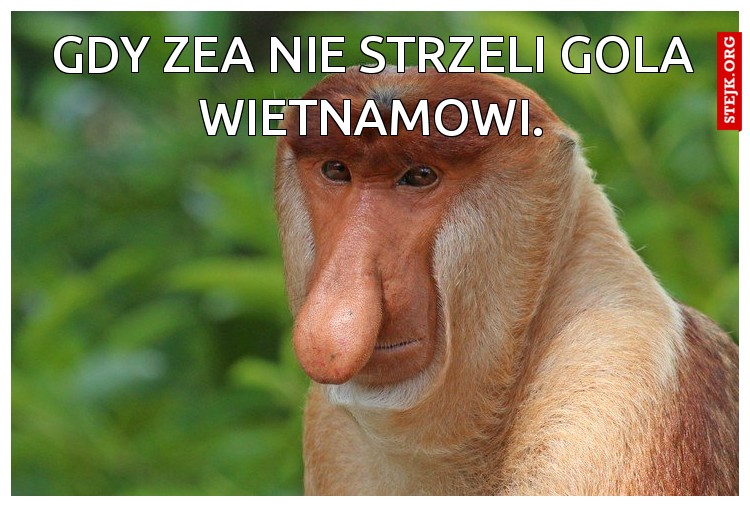 Gdy zea nie strzeli gola wietnamowi.