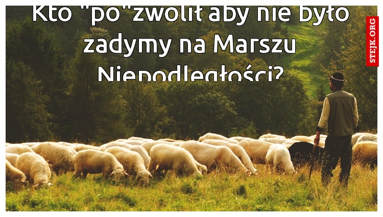 Kto "po"zwolił aby nie było zadymy na Marszu Niepodległości?