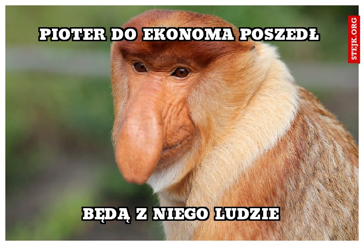 pioter do ekonoma poszedł