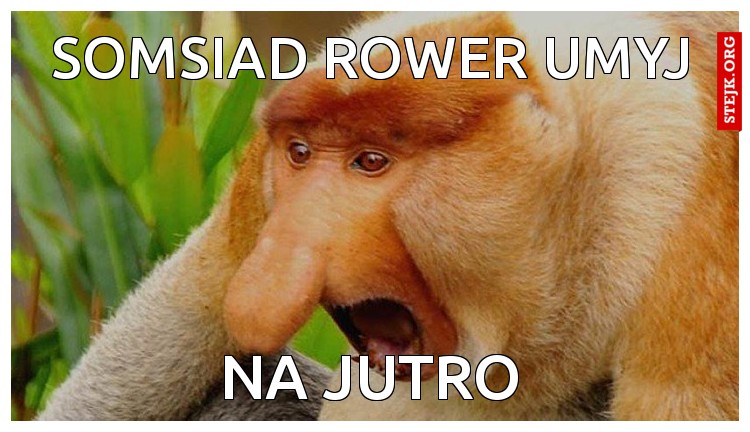Somsiad rower umyj 
