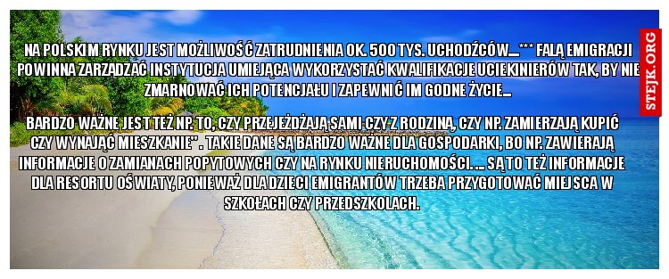 Na polskim rynku jest możliwość zatrudnienia ok. 500 tys. uchodźców....*** falą emigracji powinna zarządzać instytucja umiejąca wykorzystać kwalifikacje uciekinierów tak, by nie zmarnować ich potencjału i zapewnić im godne życie...