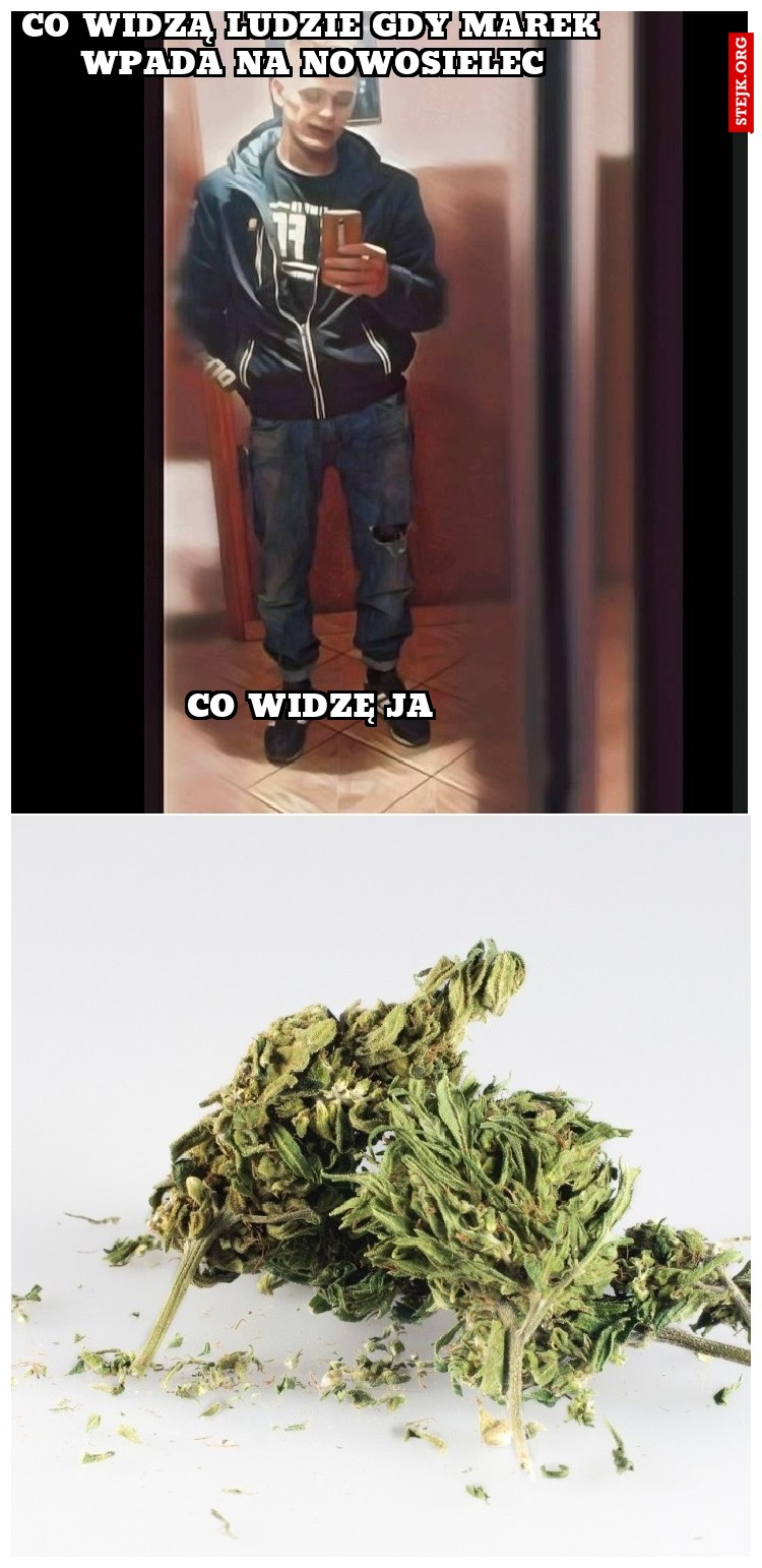 Co widzą ludzie gdy marek wpada na nowosielec