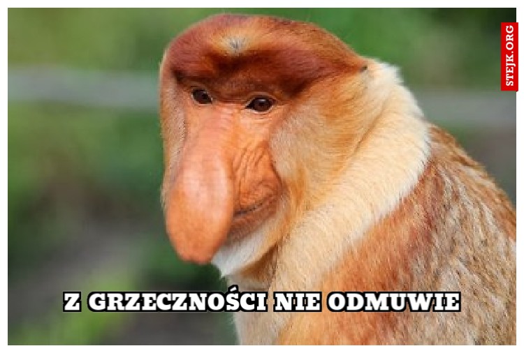 z grzeczności nie odmuwie