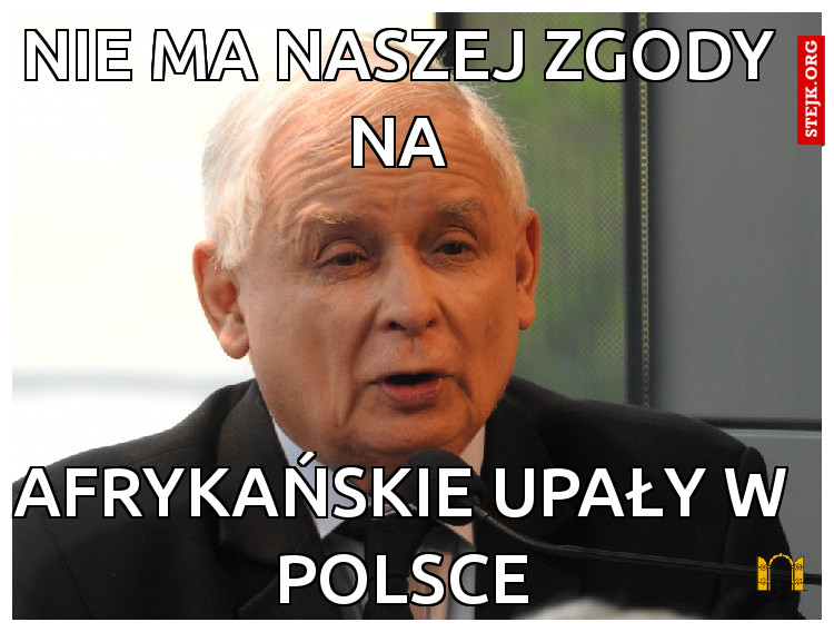 Afrykańskie upały w polsce