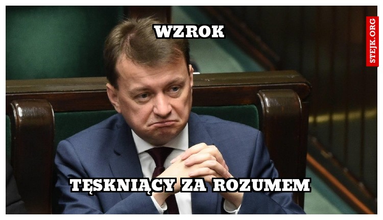 Wzrok