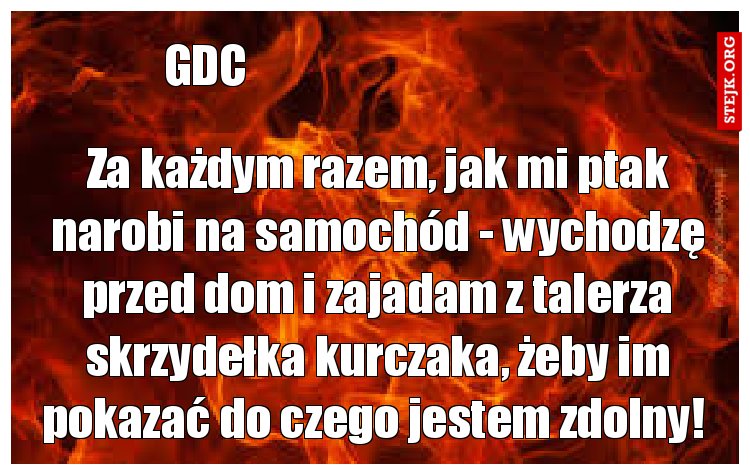 Za każdym razem, jak mi ptak narobi na samochód - wychodzę przed dom i zajadam z talerza skrzydełka kurczaka, żeby im pokazać do czego jestem zdolny! 
