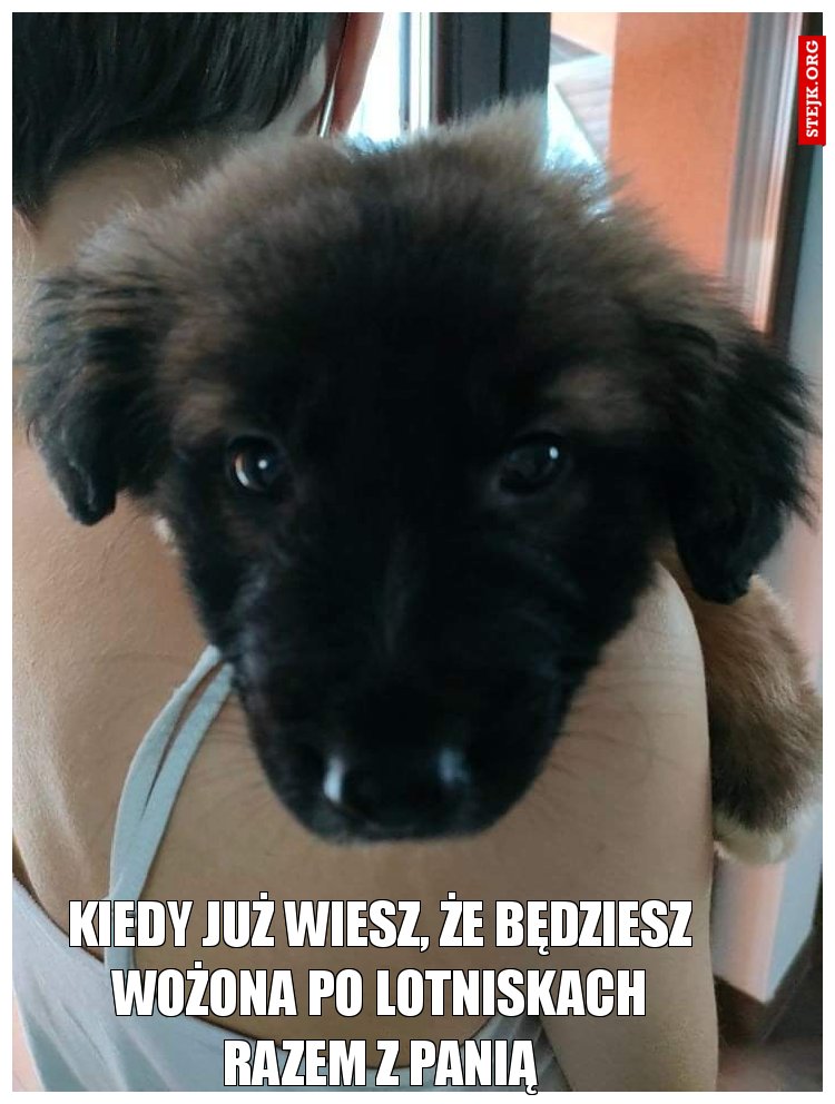 Kiedy już wiesz, że będziesz wożona po lotniskach razem z Panią