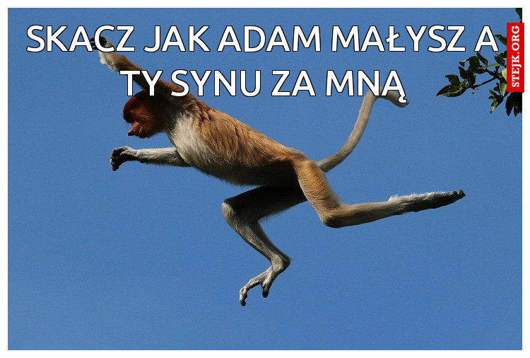 Skacz jak Adam Małysz a ty synu za mną