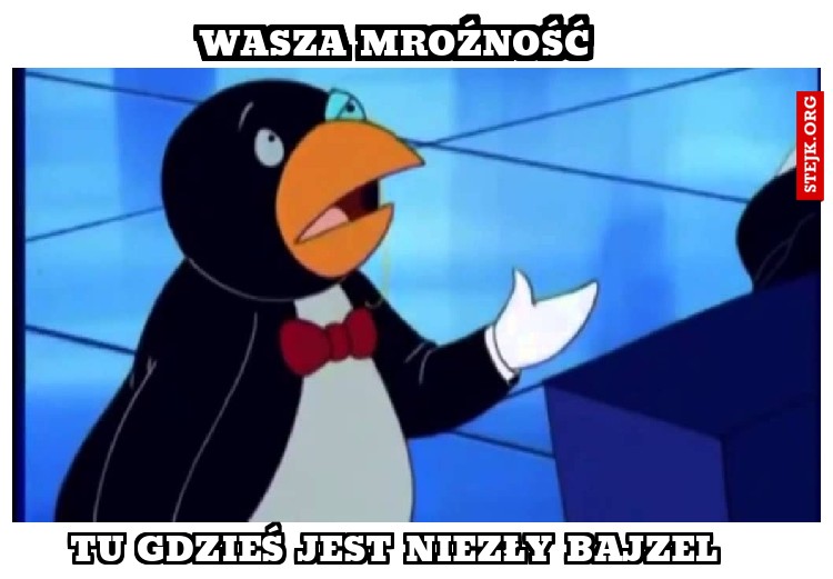 Wasza mroźność