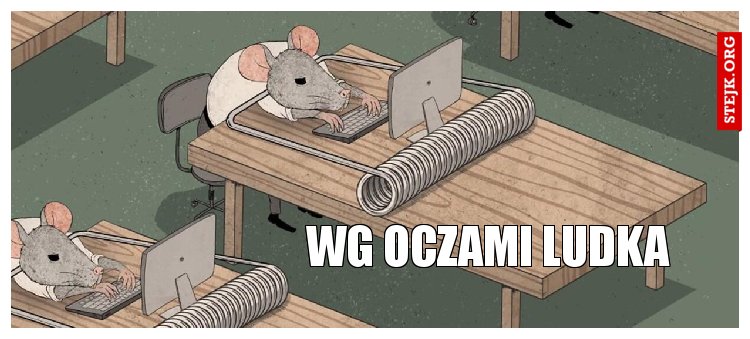 WG oczami Ludka