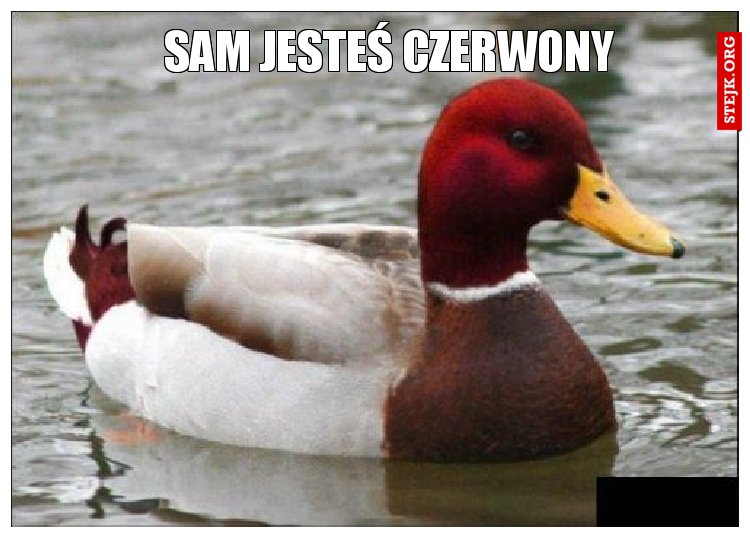 Sam jesteś czerwony