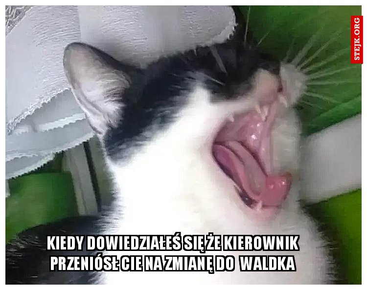 Kiedy dowiedziałeś się że kierownik przeniósł cie na zmianę do  Waldka