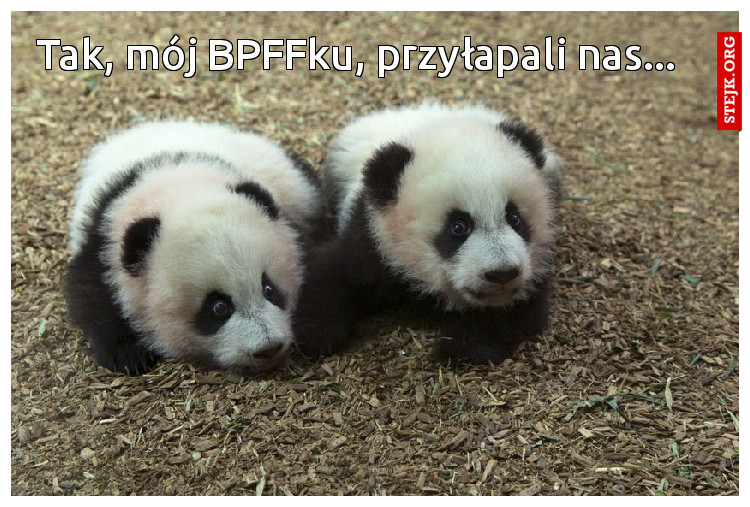 Tak, mój BPFFku, przyłapali nas...
