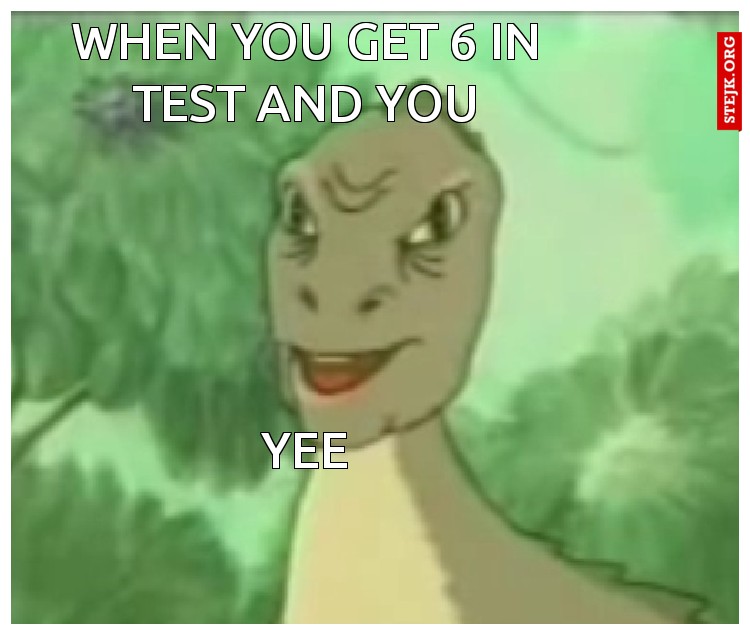 when you get 6 in test and you