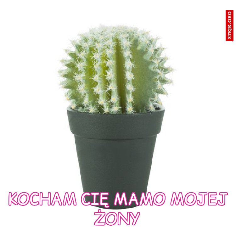 Jestem sobie brzydki kleszcz, lubię Bubę w nocy jeść