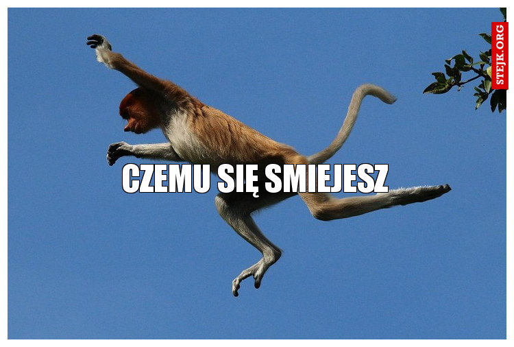 Czemu się smiejesz