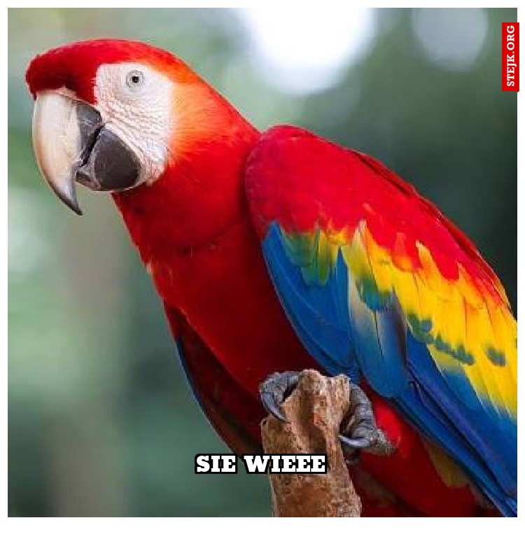 sie wieee