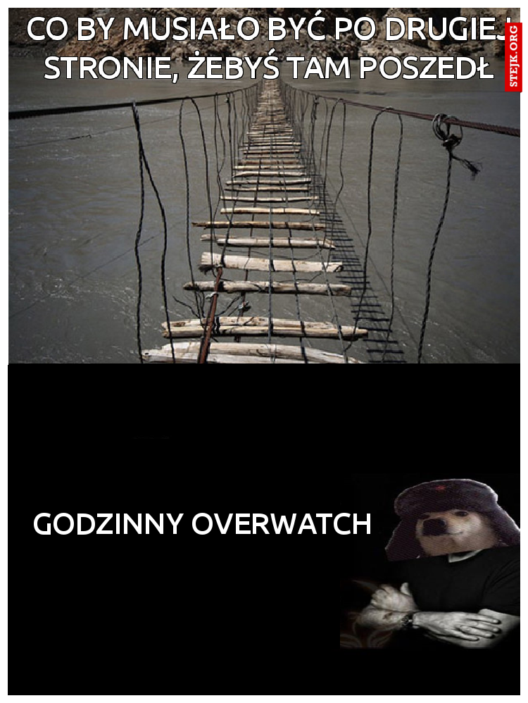 GODZINNY OVERWATCH