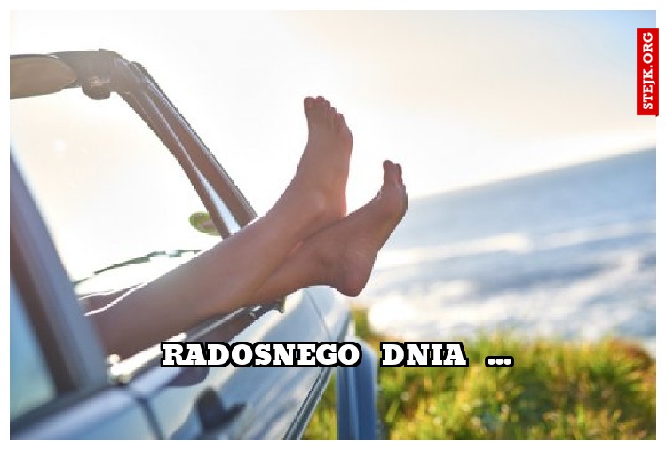 radosnego  dnia  ...