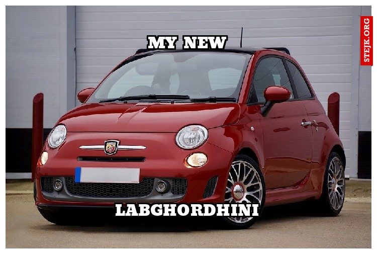 my new