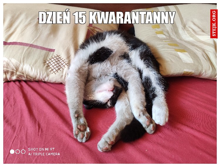 Dzień 15 kwarantanny