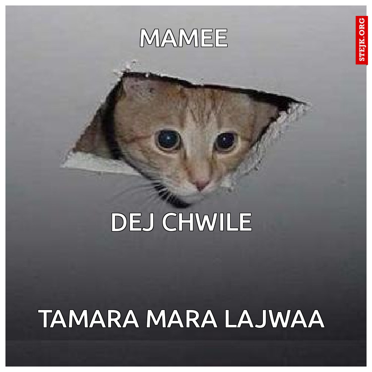 mamee