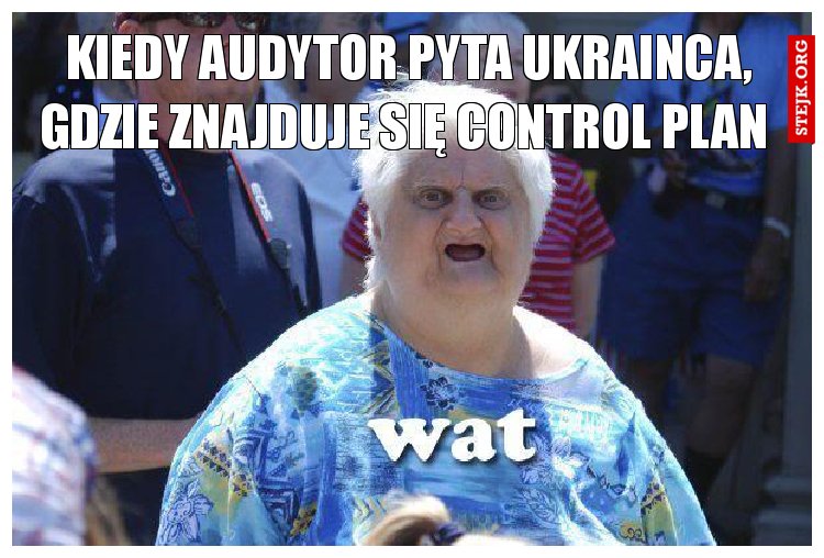 Kiedy audytor pyta ukrainca, gdzie znajduje się control plan 