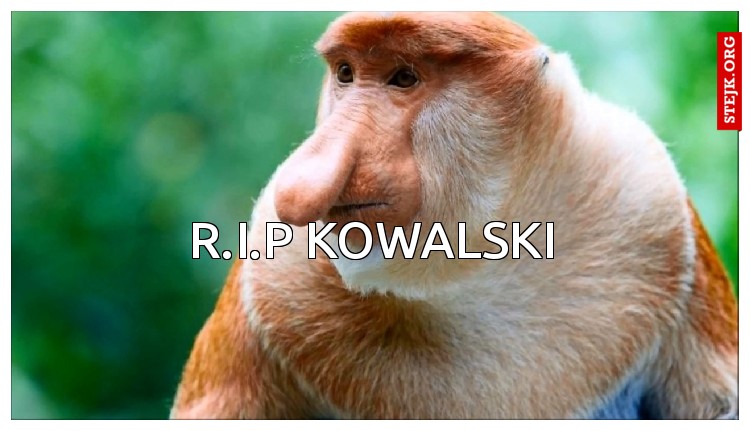 R.I.P KOWALSKI