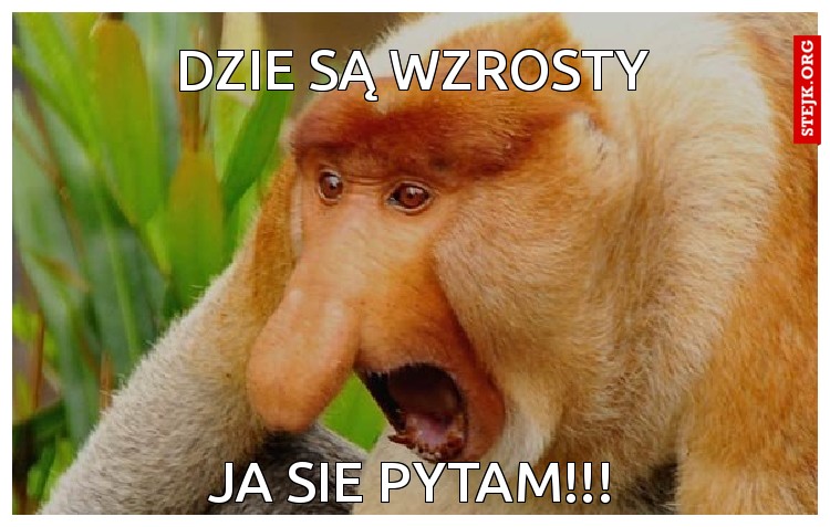 dzie są wzrosty