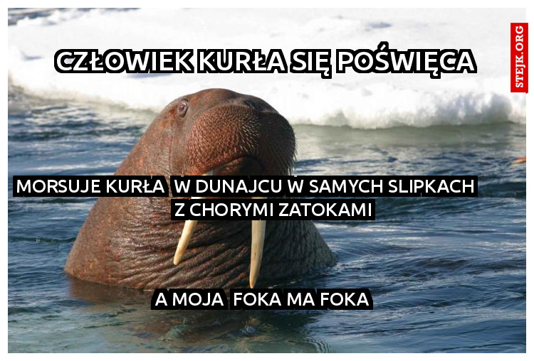 Człowiek kurła się poświęca