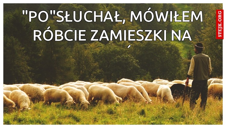 który z was nie "po"słuchał, mówiłem róbcie zamieszki na marszu - mówiłem.