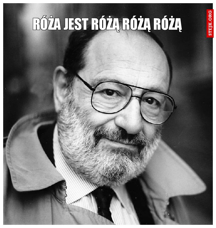 róża jest różą różą różą