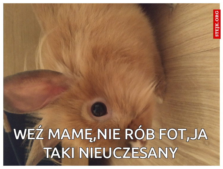 Weź mamę,nie rób fot,ja taki nieuczesany